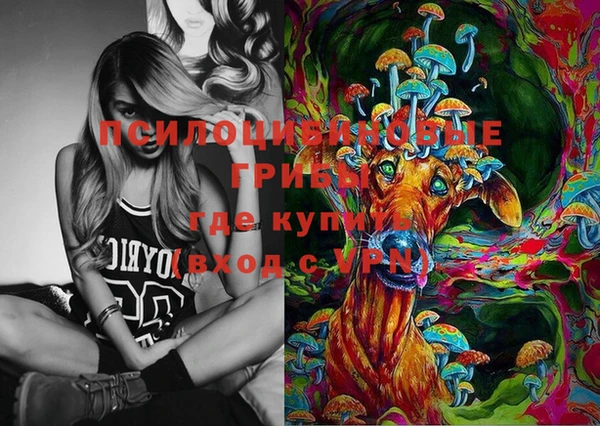 гидра Алексин