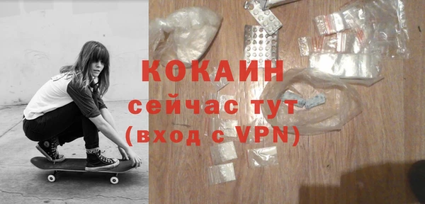 гидра Алексин